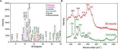 Natural Extracellular Electron Transfer Between Semiconducting Minerals and Electroactive Bacterial Communities Occurred on the Rock Varnish